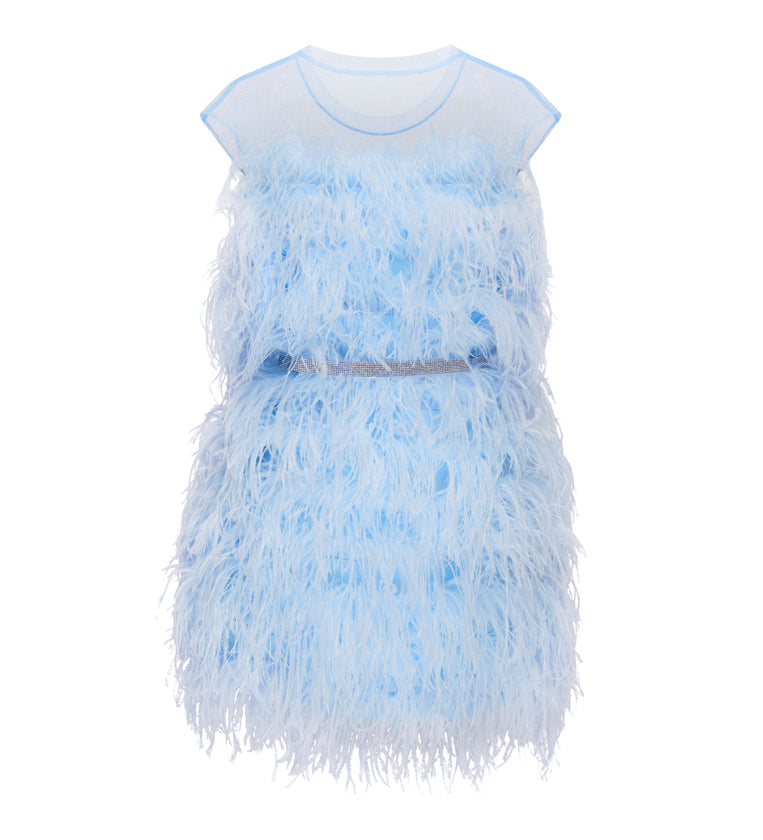 Mini Dress Feather Splash – MoreDash
